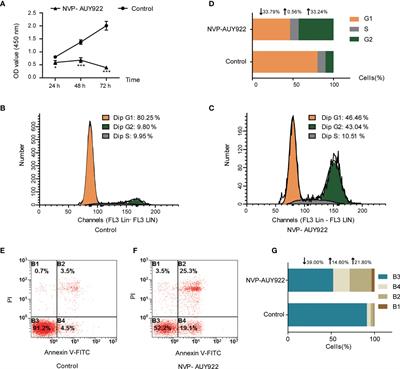 Complex Crystal Structure Determination of Hsp90N-NVP-AUY922 and In Vitro Anti-NSCLC Activity of NVP-AUY922